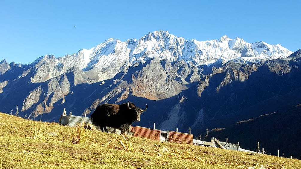 Dolpo-Tse Phoksundo