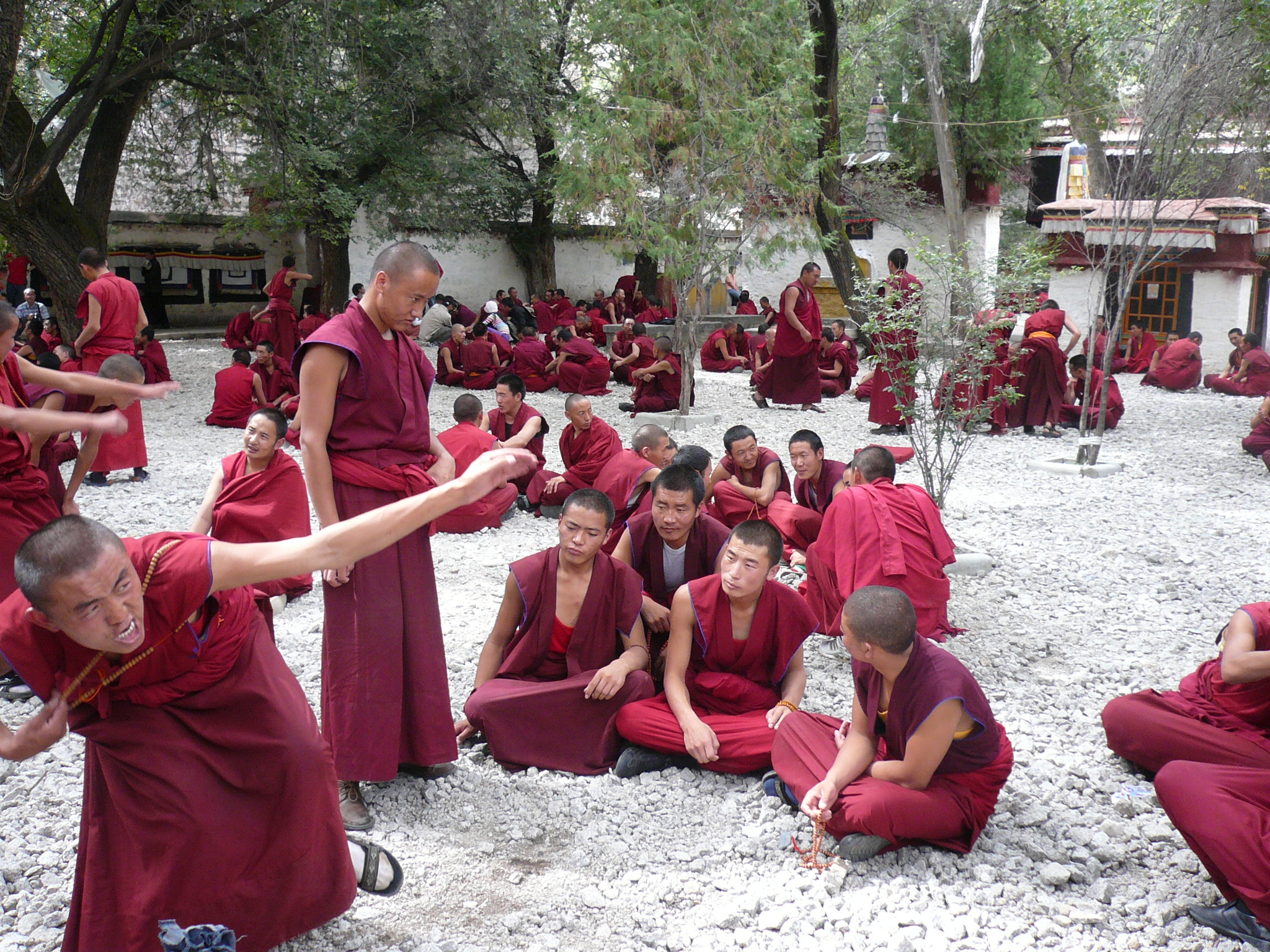 Lhasa-TourMonk-Debating-at-Sera-1731052881.jpg