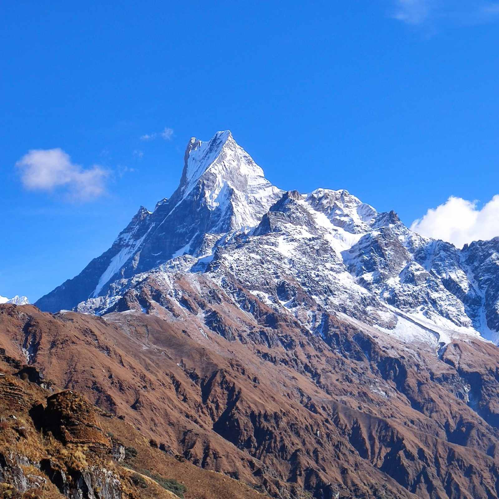 Mardi Himal (5-6 Days)